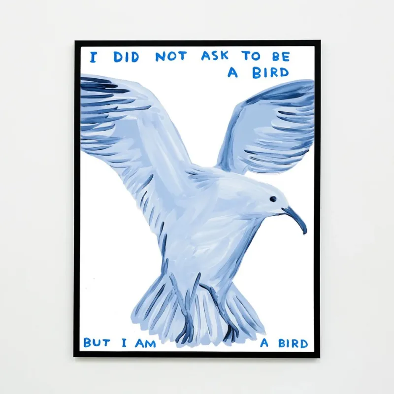 New Pamono David Shrigley, I Did Not Ask to Be a Bird, 2021, Lithograph Poster, Framed