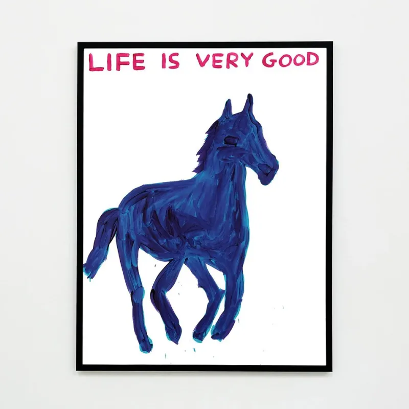 Pamono David Shrigley, Life Is Very Good, 2016, Lithograph Poster, Framed> Wall Decor
