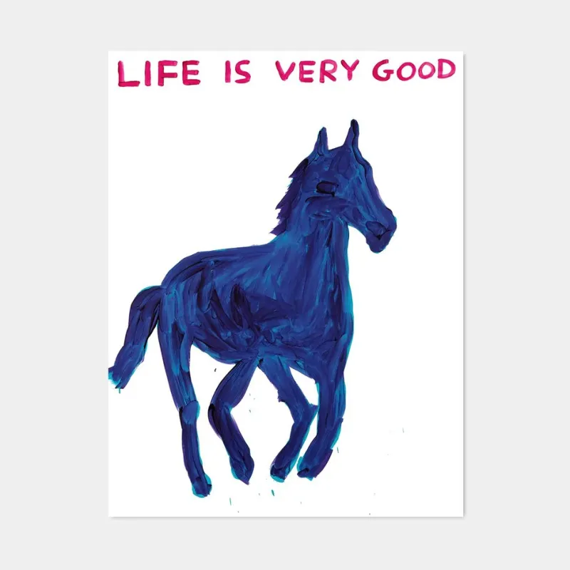 Pamono David Shrigley, Life Is Very Good, 2016, Lithograph Poster, Framed> Wall Decor