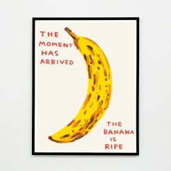 Online Pamono David Shrigley, The Moment Has Arrived, 2021, Lithograph Poster, Framed