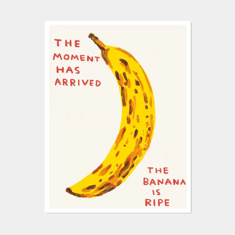 Online Pamono David Shrigley, The Moment Has Arrived, 2021, Lithograph Poster, Framed