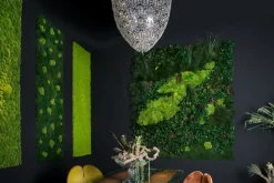 Sale Pamono Dehydrated Plant Wall Stabilized Lichene Flat Work May from VGnewtrend