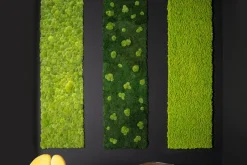 Sale Pamono Dehydrated Plant Wall Stabilized Lichene Flat Work May from VGnewtrend