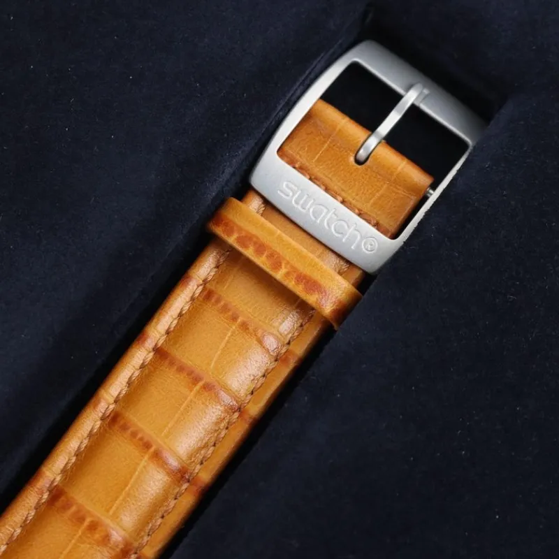 New Pamono Diaphane One Carousel Tourbillon Watch from Swatch
