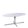 Pamono Dining Table by Florence Knoll for Roche Bobois, 1960s> Dining Tables & Sets