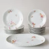 Discount Pamono Dishes and Source from Limoges, 1950s, Set of 19
