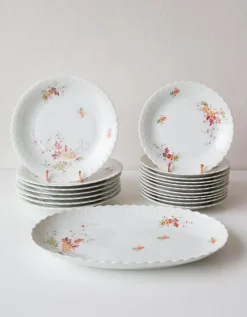 Discount Pamono Dishes and Source from Limoges, 1950s, Set of 19