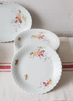 Discount Pamono Dishes and Source from Limoges, 1950s, Set of 19