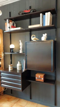 Best Pamono E22 Bookshelf by Osvaldo Borsani for Tecno, Italy, 1960s