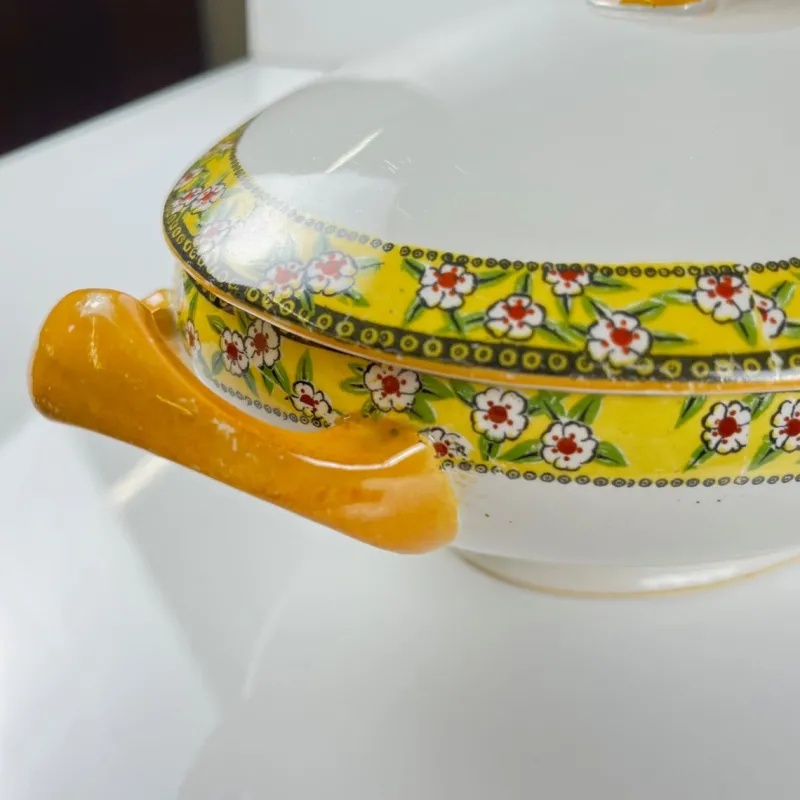 Pamono Earthenware Yvonne Soup Tureen from Orchies, Early 20th Century> Dinnerware Accessories