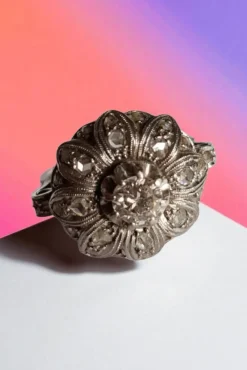 Pamono Edwardian Floral Halo Diamond Ring in Platinum, 1910s><noscript><img width=