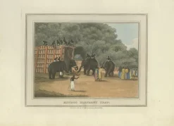 Pamono Elephant and Hunting Engravings, 1813, Paper, Set of 3> Work On Paper