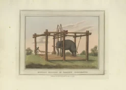 Pamono Elephant and Hunting Engravings, 1813, Paper, Set of 3><noscript><img width=