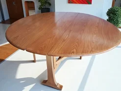 Online Pamono Elm Gate Leg Drop Leaf Dining Table by Lucian Ercolani for Ercol, 1960s