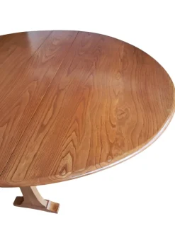 Online Pamono Elm Gate Leg Drop Leaf Dining Table by Lucian Ercolani for Ercol, 1960s