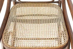 Pamono Embossed Rocking Chair by Michael Thonet, 1920s><noscript><img width=