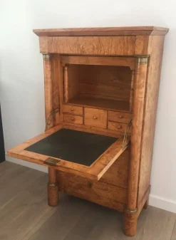 Outlet Pamono Empire Clapper Secretaire in Burr Walnut with Detached Columns and Secret Drawer, France, 1850s