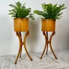 Pamono Empire Style Swan-Neck Circular Fruitwood Jardinières, Set of 2> Planters And Jardiniere