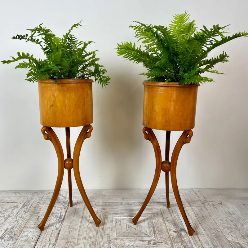 Pamono Empire Style Swan-Neck Circular Fruitwood Jardinières, Set of 2> Planters And Jardiniere
