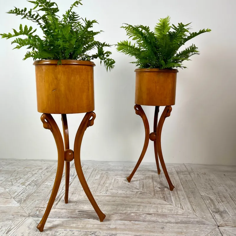 Pamono Empire Style Swan-Neck Circular Fruitwood Jardinières, Set of 2> Planters And Jardiniere