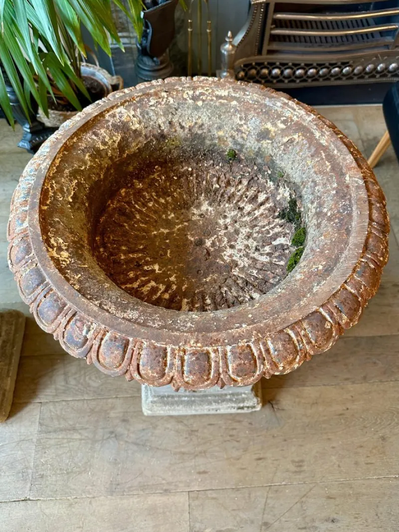 Pamono English Cast Iron Tazza Urns by Andrew Handyside, 1890s, Set of 2> Garden Accessories