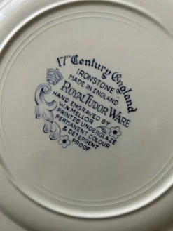 Online Pamono English Ironstone Plates fom Royal Tudor Ware, 1960s, Set of 8