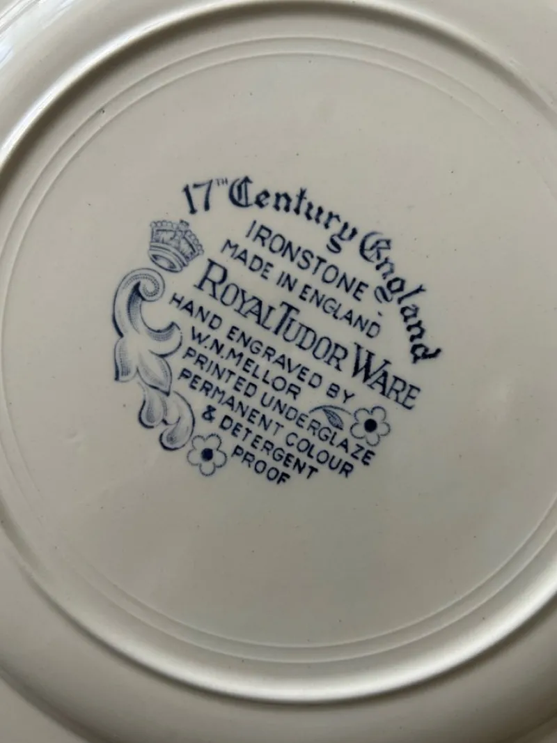 Online Pamono English Ironstone Plates fom Royal Tudor Ware, 1960s, Set of 8