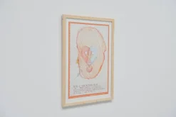Best Pamono Exhibition Poster attributed to Gaetano Pesce for Bernini, Italy, 2001