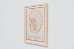 Best Pamono Exhibition Poster attributed to Gaetano Pesce for Bernini, Italy, 2001