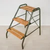 New Pamono Factory Ladder