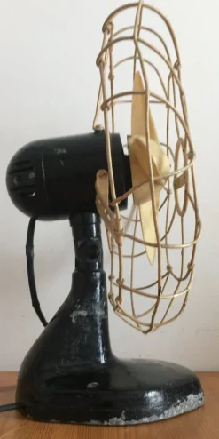 Best Pamono Fan from Marelli, 1950s