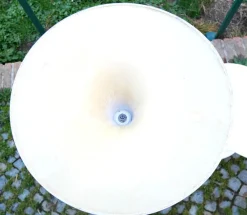 Sale Pamono Fiberglass Chairs for Fiarm Scorzè, Italy, 1960s, Set of 4