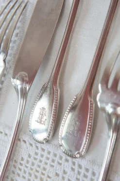Best Pamono Fish Cutlery from Christofle, 1890s, Set of 12