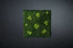 Clearance Pamono Flat Moss Stabilized Dehydrated Vegetable Wall with Pole Moss from VGnewtrend