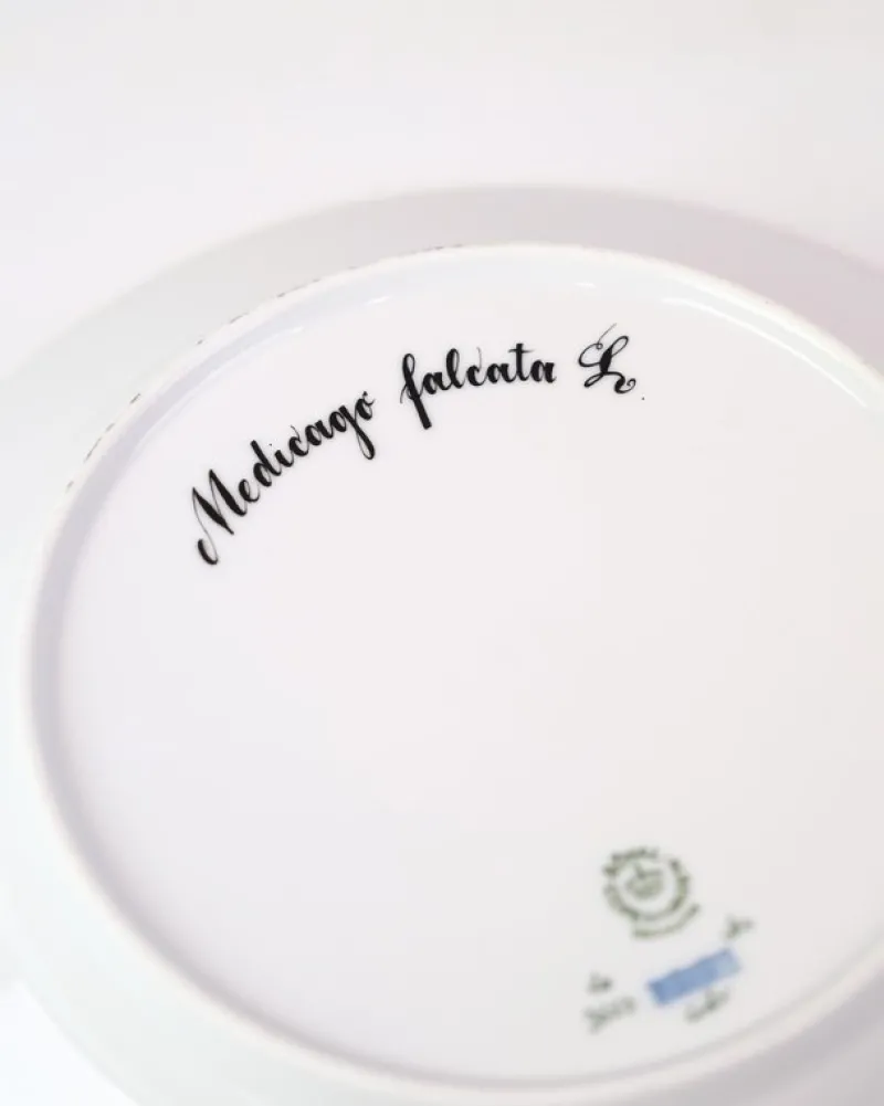 Pamono Flora Danica No. 20/3550 Decoration Lunch Plate from Royal Copenhagen, 1960s> Dinner Plates & Bowls