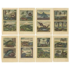 Pamono François Valentyn, Fishes and Crustaceans, 1726, Set of 8> Work On Paper
