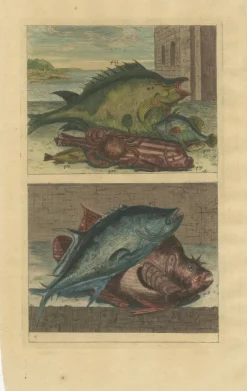 Pamono François Valentyn, Fishes and Crustaceans, 1726, Set of 8><noscript><img width=