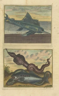 Pamono François Valentyn, Fishes and Crustaceans, 1726, Set of 8><noscript><img width=