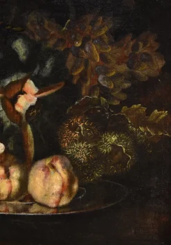 Clearance Pamono Franz Werner Von Tamm, Still Life with Fruit, 1700, Oil on Canvas, Framed