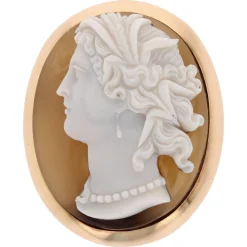 Pamono French Agate Cameo Brooch in 18 Karat Yellow Gold> Brooches