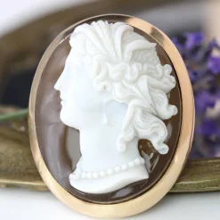 Pamono French Agate Cameo Brooch in 18 Karat Yellow Gold><noscript><img width=