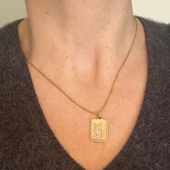 Discount Pamono French Aquarius Starsign Zodiac 18k Yellow Gold Charm Medal Pendant, 1980s