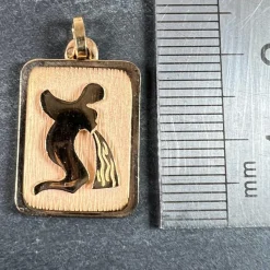 Discount Pamono French Aquarius Starsign Zodiac 18k Yellow Gold Charm Medal Pendant, 1980s