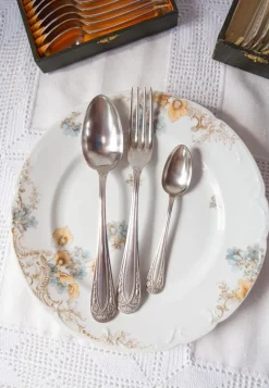 Best Pamono French Art Deco Cutlery Service for 12 with T C Initials from Apollo, 1930s, Set of 36