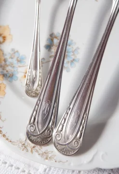 Best Pamono French Art Deco Cutlery Service for 12 with T C Initials from Apollo, 1930s, Set of 36