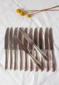 Outlet Pamono French Art Deco Entremets Knives by Apollonox, 1920s, Set of 12