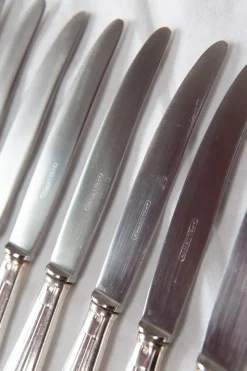 Outlet Pamono French Art Deco Entremets Knives by Apollonox, 1920s, Set of 12