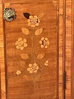 Pamono French Louis XV Style Bookcase, 1860s><noscript><img width=