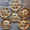 Pamono French Majolica Oyster Shell Plates from Sarreguemines, 1950s, Set of 6> Dinner Plates & Bowls