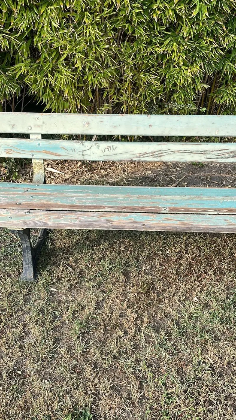 New Pamono French Public Garden Bench, 1950s